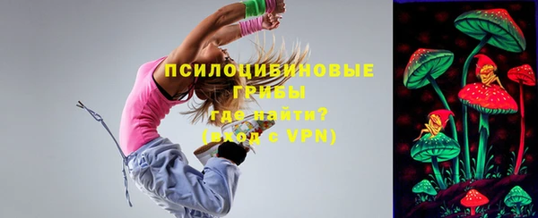 крисы Бугульма