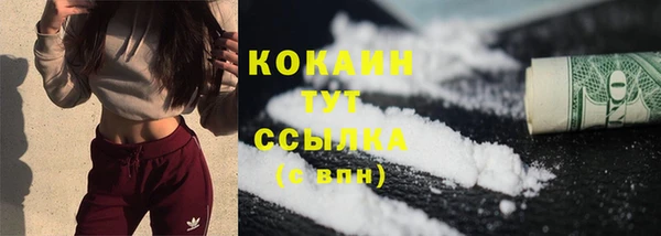 спиды Бородино