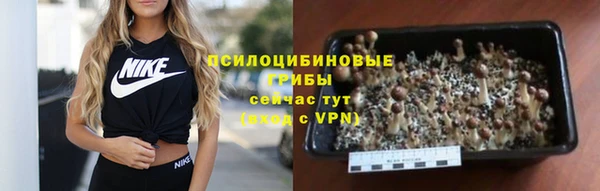 спиды Бородино