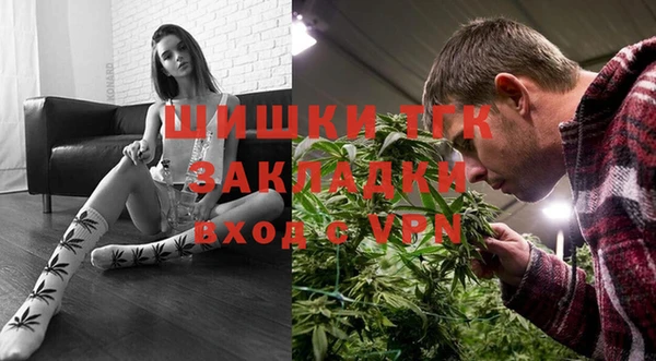 спиды Бородино
