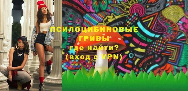 крисы Бугульма