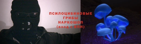спиды Бородино