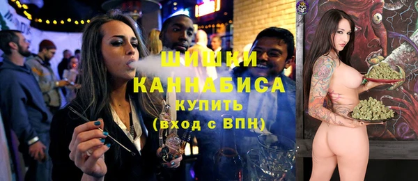 МДПВ Бронницы