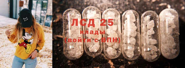 спиды Бородино