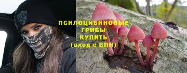 крисы Бугульма