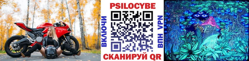 Купить  Катав-Ивановск  Галлюциногенные грибы мицелий 